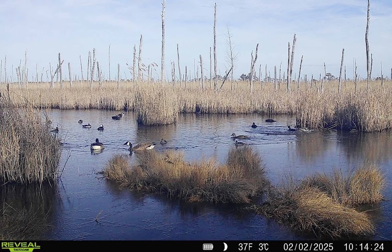 Nanticoke Outfitters, LLC - Photo 3