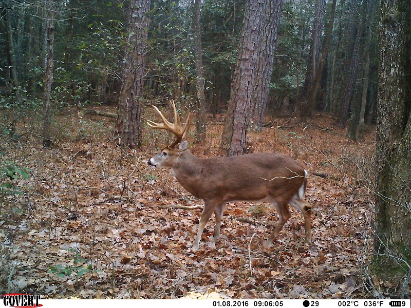 Nanticoke Outfitters, LLC - Photo 1