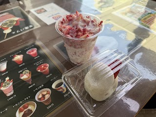 Kunozan Strawberry Picking photo