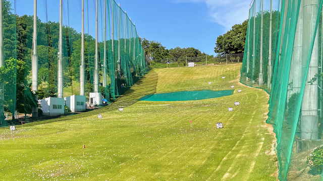 Dynasty Golf - Photo 1