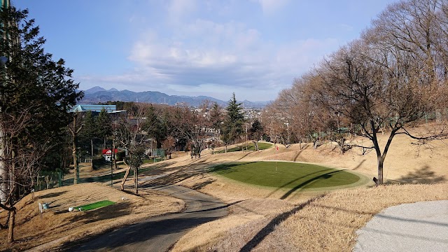 Dynasty Golf - Photo 5