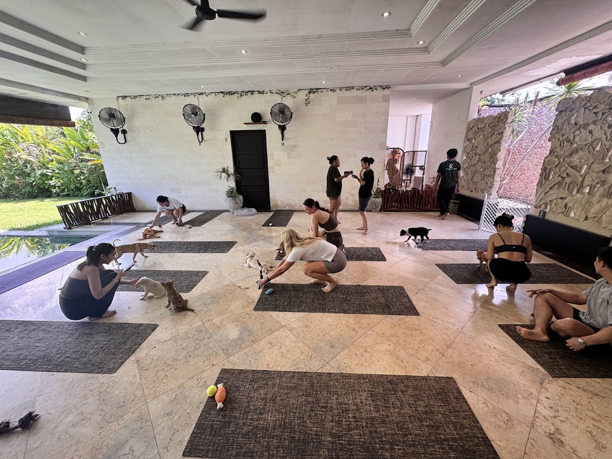 Puppy Yoga Bali — 3