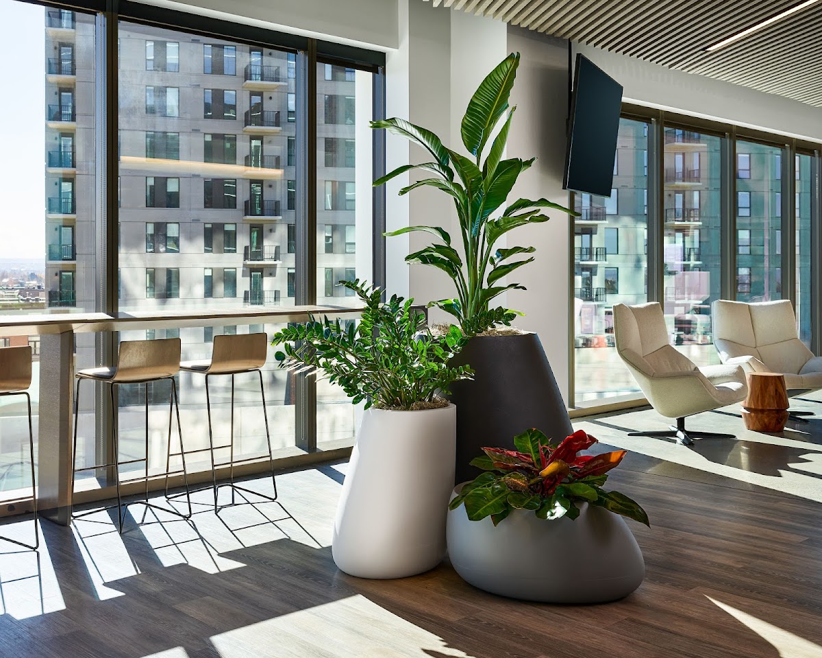 Bloom & Flourish: Google Places image 4
