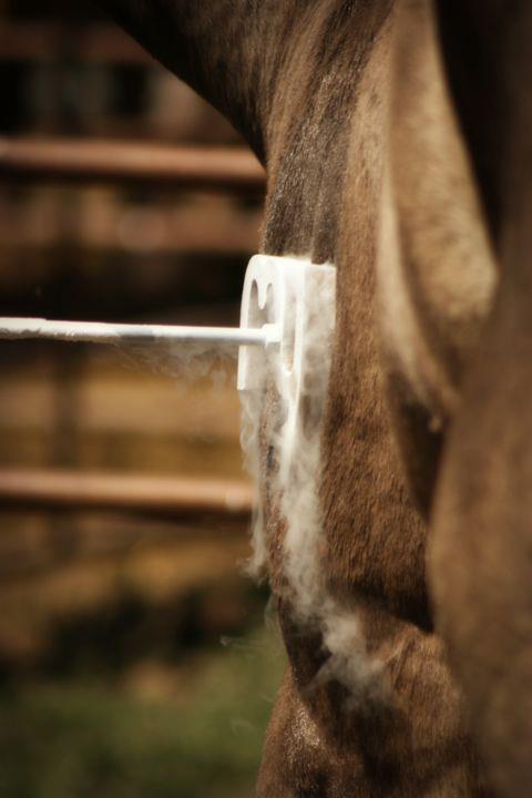 Memory Ranches - Photo 2