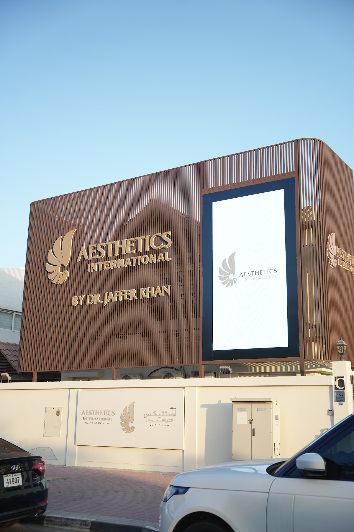 Aesthetics International