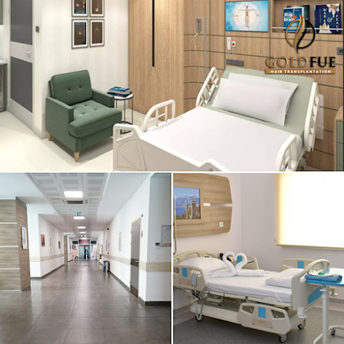 Gold Fue Hair Transplant logo