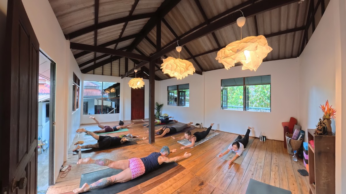 Yoga Essential School — 3
