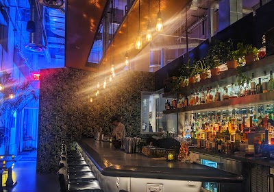 Vine Bar photo 1