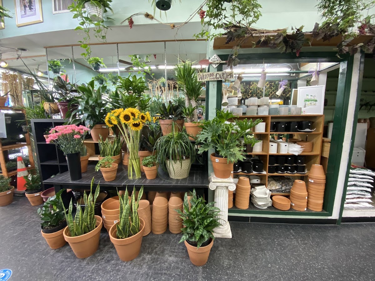 Greenpoint Floral Co.: Google Places image 4