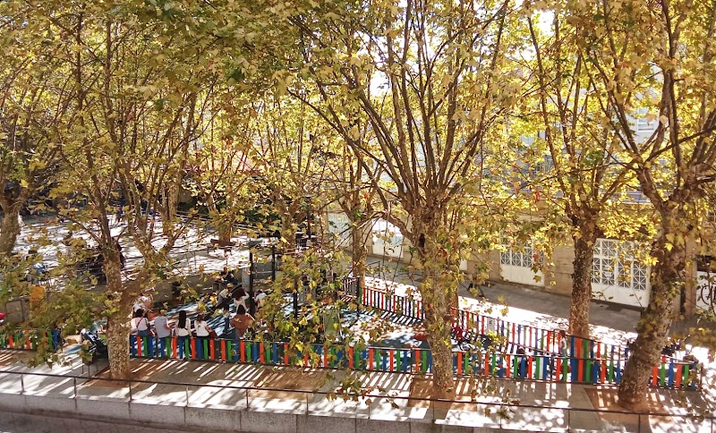 INSTITUTO ALEMÁN en Ourense | Clases presenciales y online con nativos photo 3