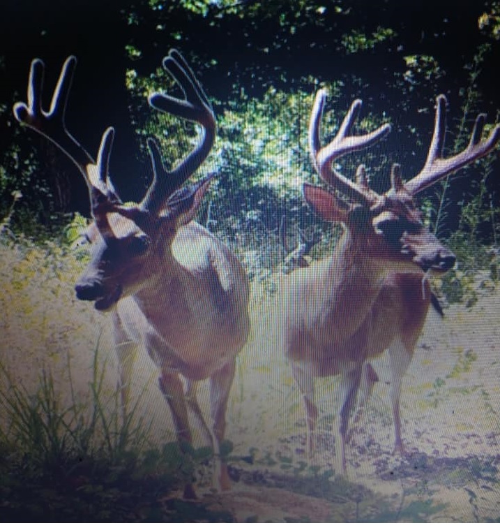Spring Creek Outfitters
