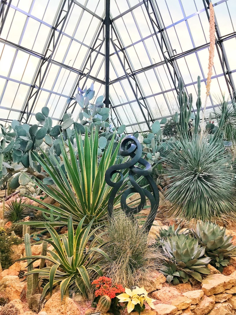 Muttart Conservatory photo 4