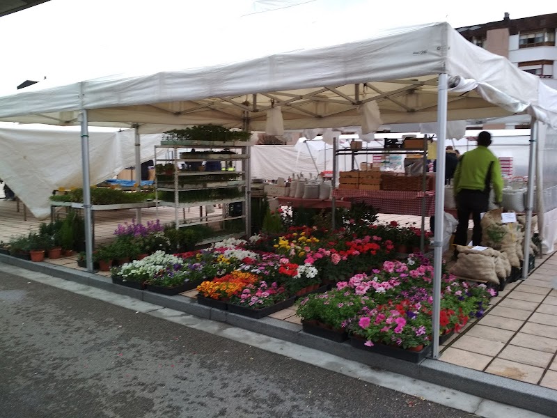 Mercadillo de Miranda