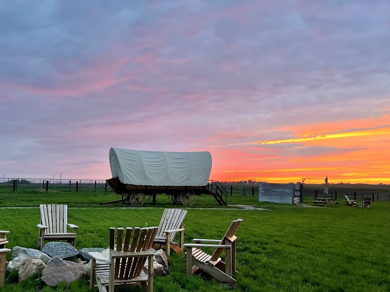 Sunset Hills Bison Ranch - Photo 3