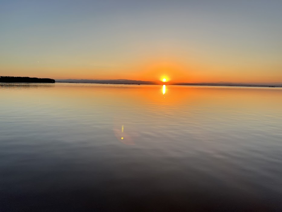 Parque Natural de la Albufera fotoğraf 1