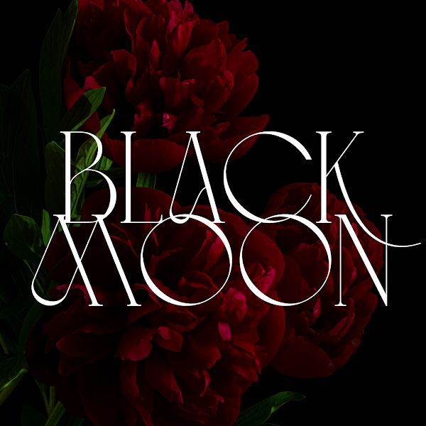 BLACK MOON COLLECTIVE portfolio