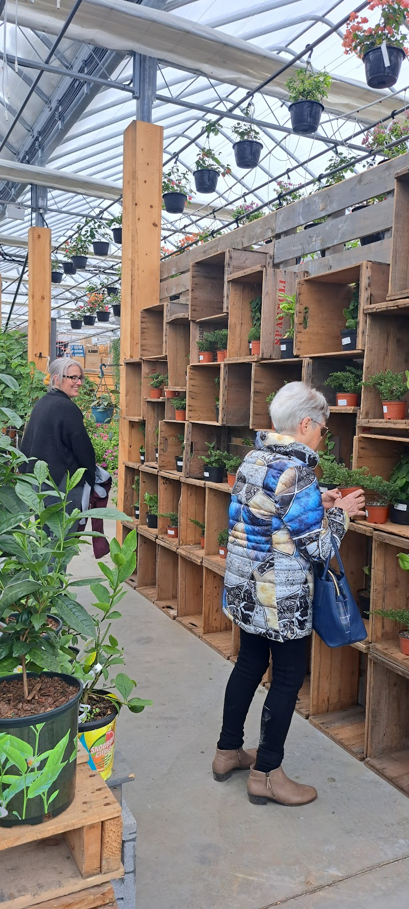 Les Serres Robinson Greenhouses photo 4