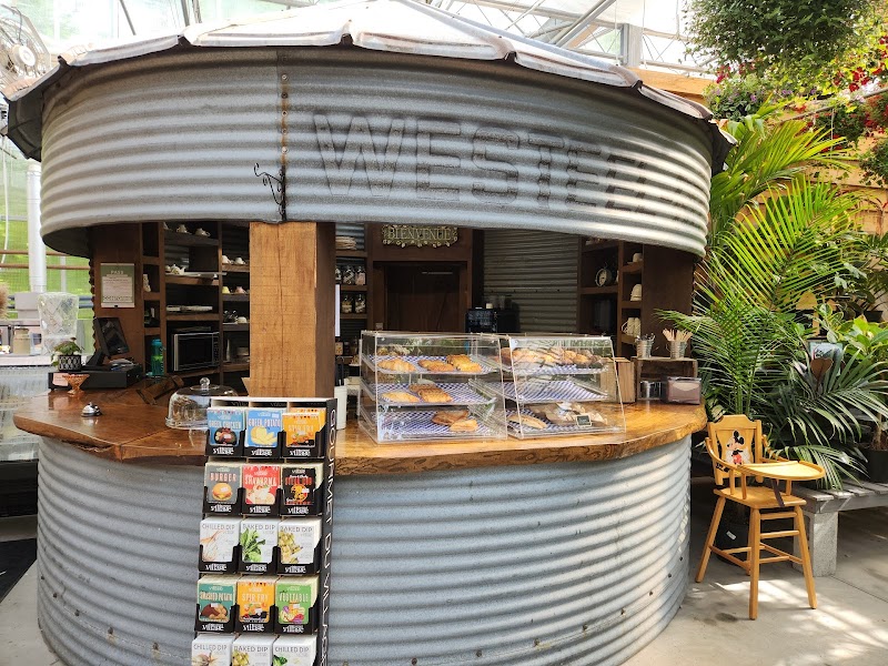 Les Serres Robinson Greenhouses photo 1