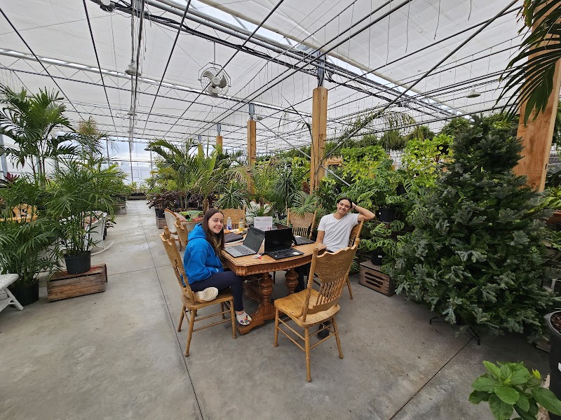 Les Serres Robinson Greenhouses photo 3