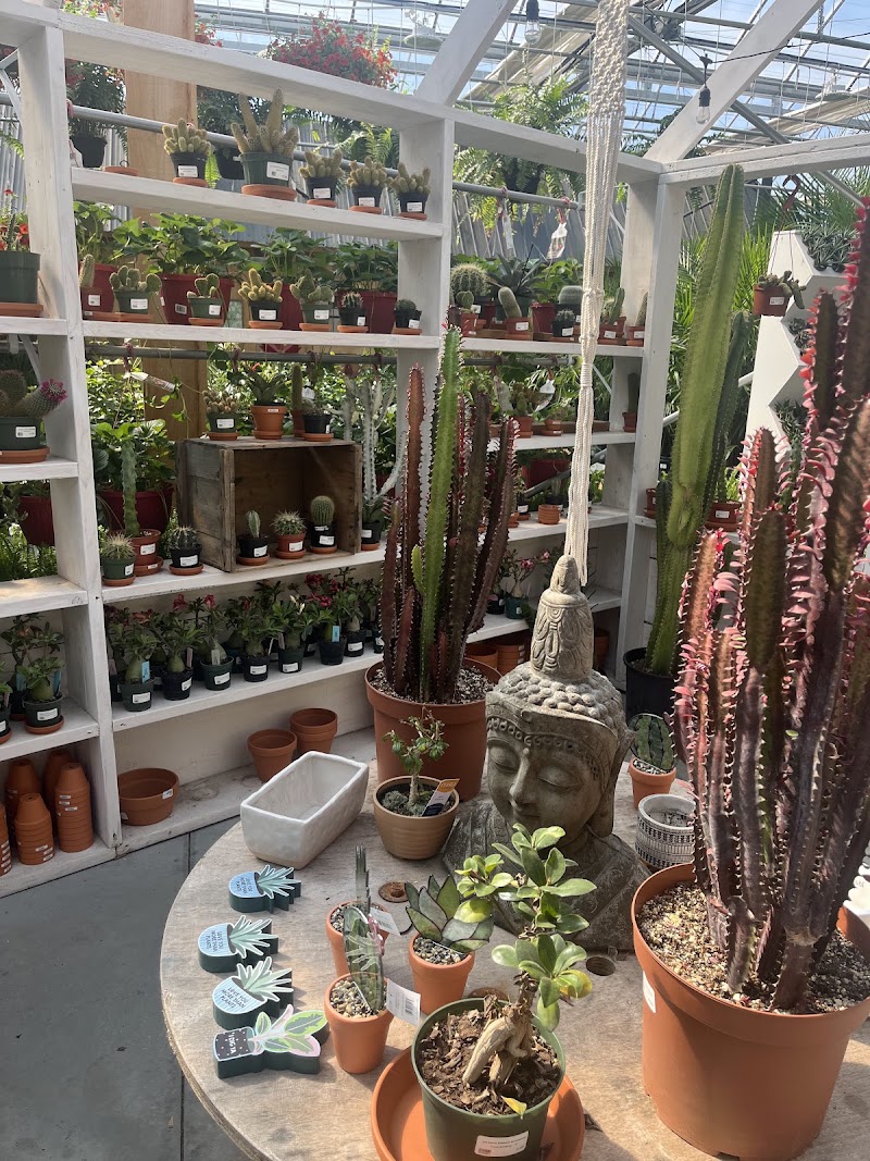 Les Serres Robinson Greenhouses photo 4