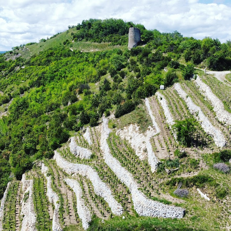 DOMAINE LOMBARD
