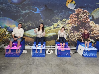 Garra Spas Chattanooga