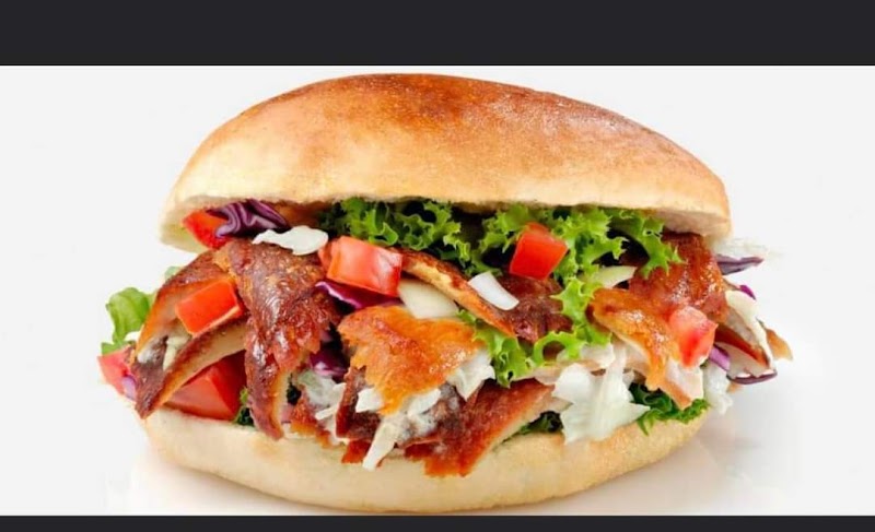 Kashmir kebab sempre da Mirza halal food photo 2