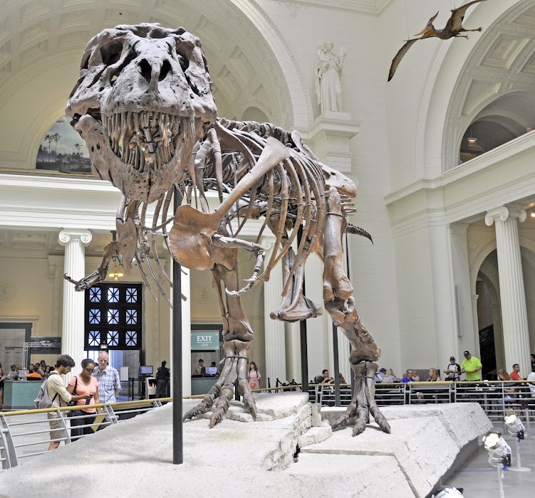 Field Museum fotoğraf 1