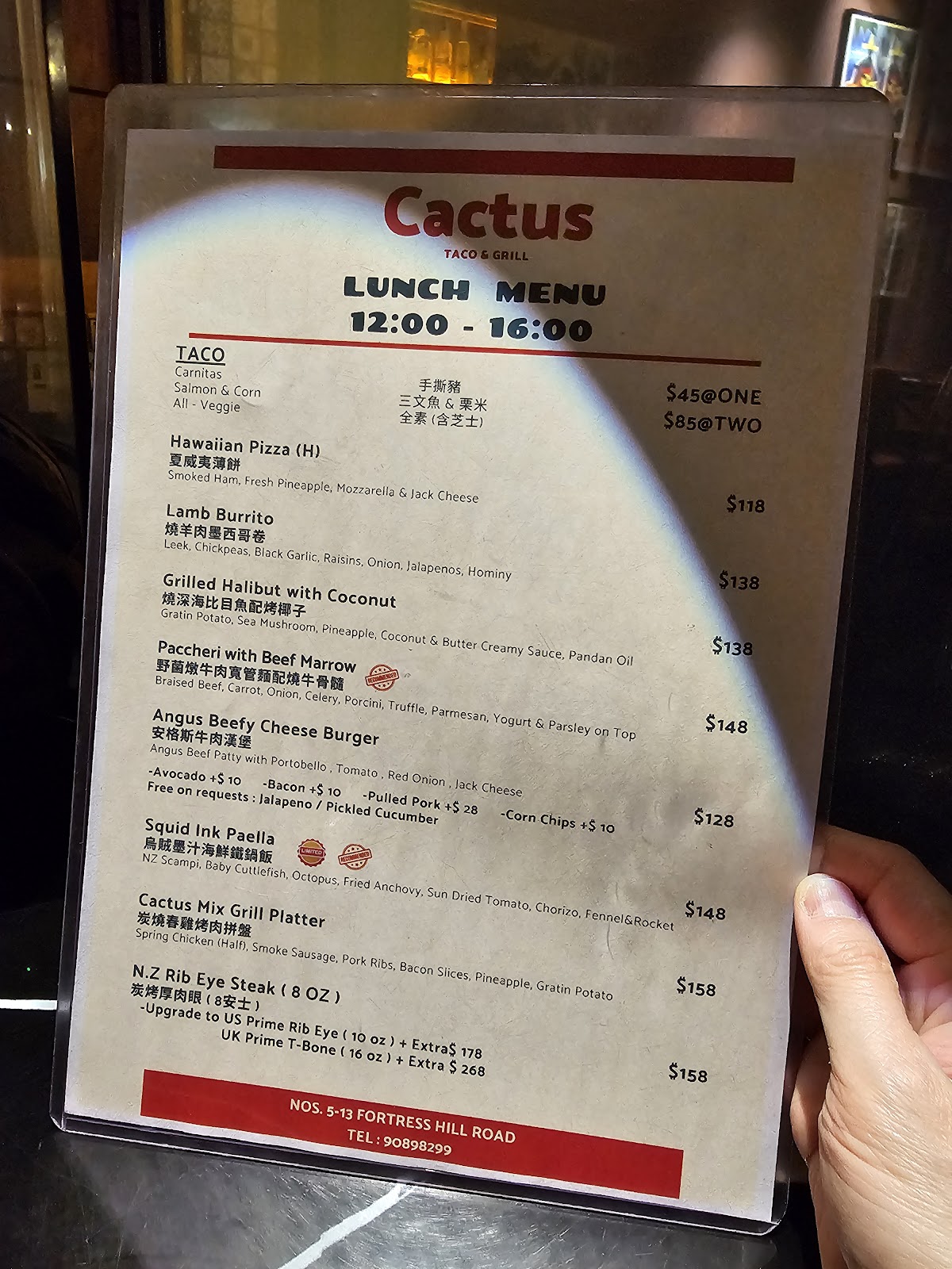 Cactus photo 5