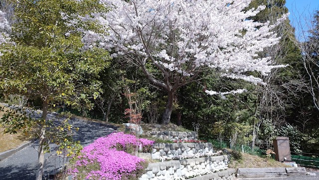 Toyama Country Club - Photo 9