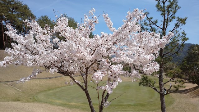 Toyama Country Club - Photo 7