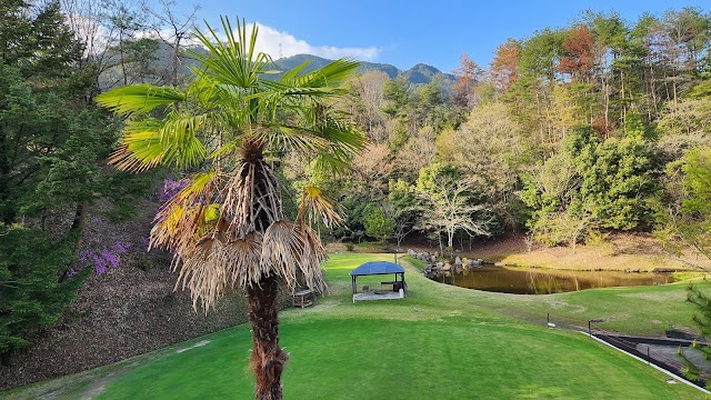 Toyama Country Club - Photo 6