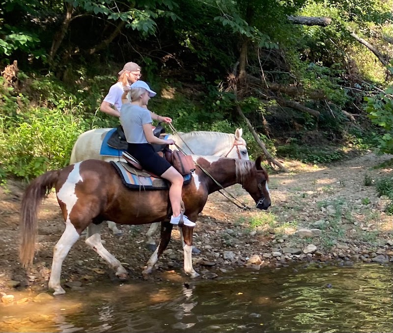 RS RanchTrail Rides - Photo 2