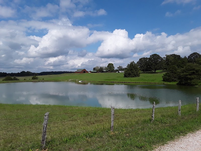 RS RanchTrail Rides - Photo 1