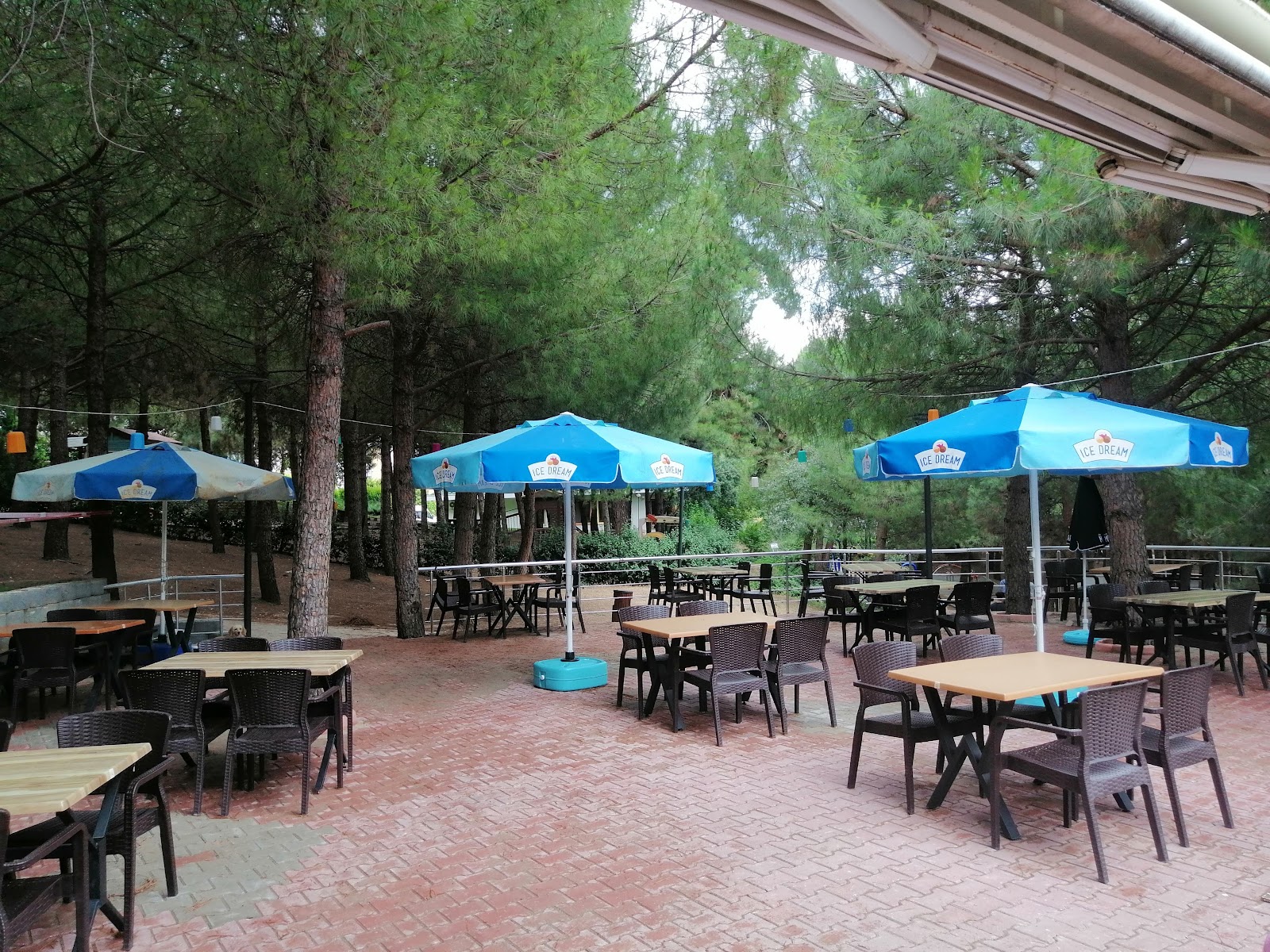 Çamlıca Kafe Restaurant Bursa Nargile mekanı