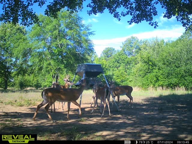 SALT LOG LODGE - Photo 5