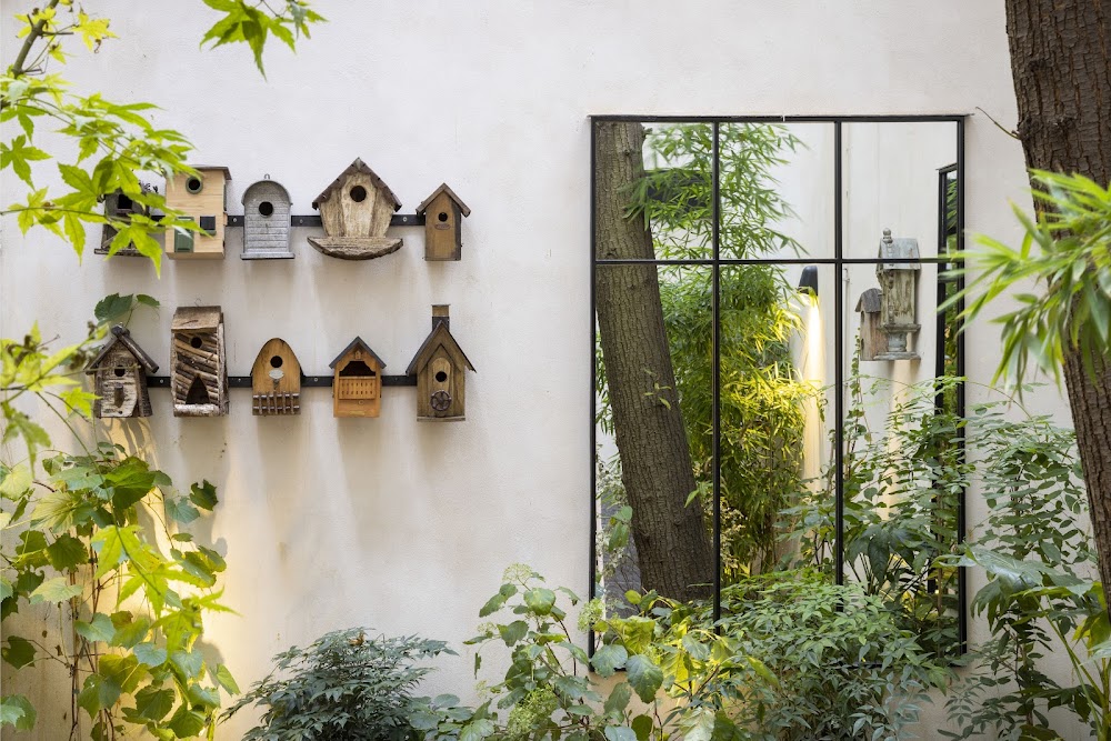 Hôtel La Canopée fotoğraf 1