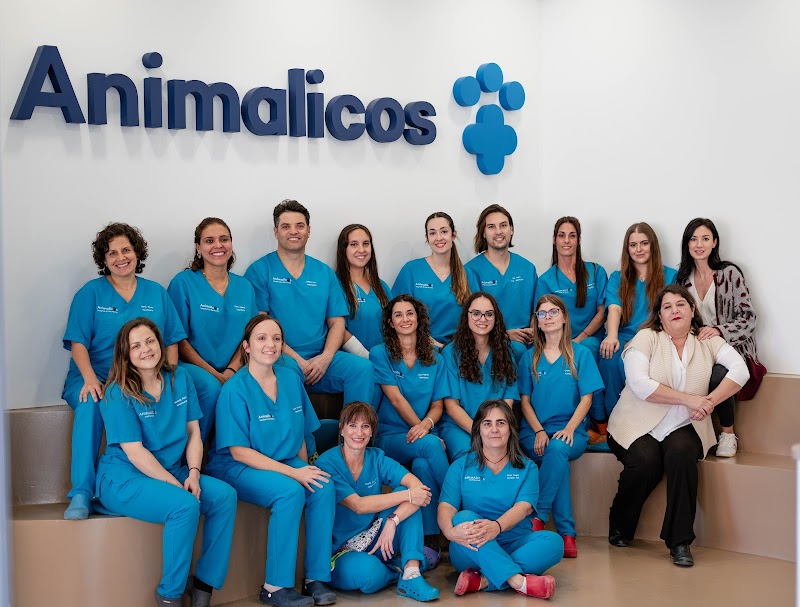 Animalicos Hospital de Día Veterinario