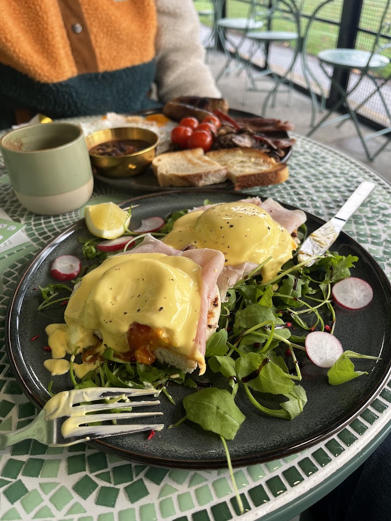 Ayla’s Brunch House