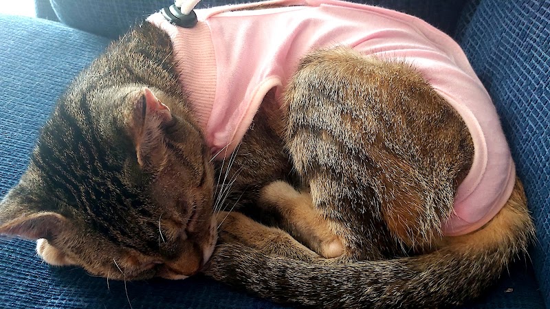 Centro Veterinario A Raposeira