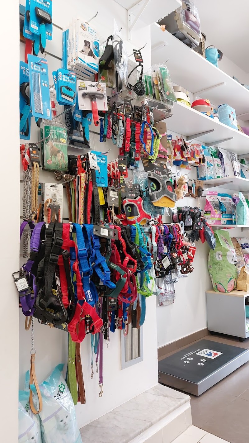 Centro Veterinario A Raposeira photo 5