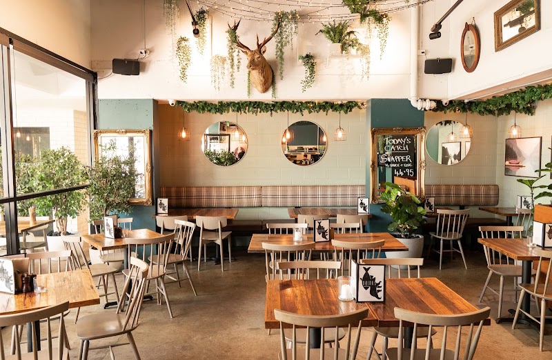 Salmon & Bear - Crows Nest