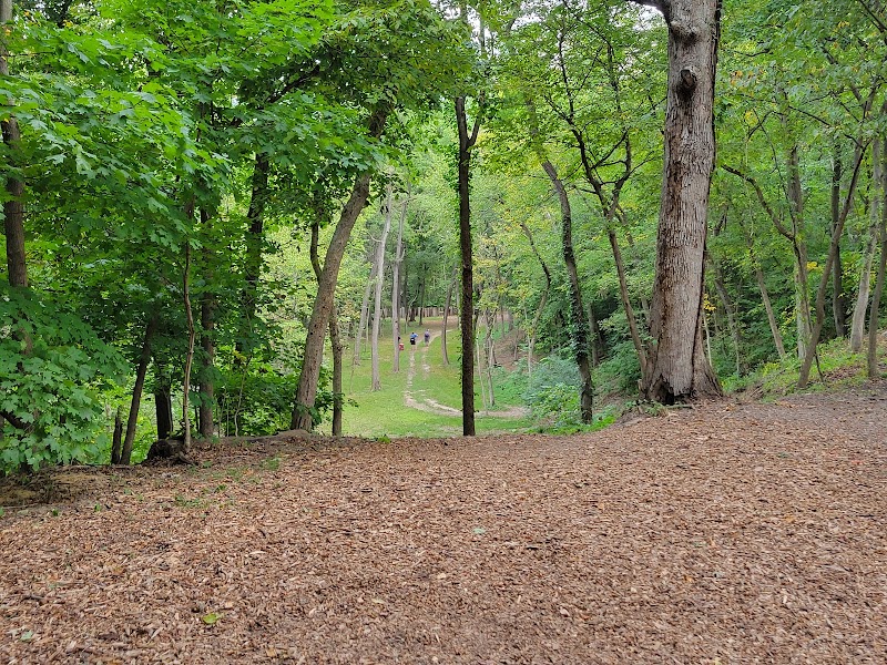 Northwood Park Disc Golf Course photo 1
