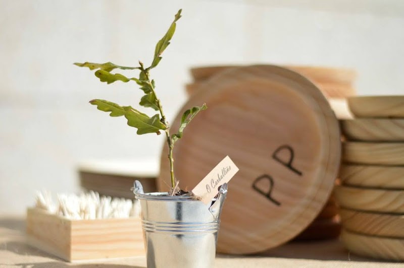 Pulperìa Chantada photo 4