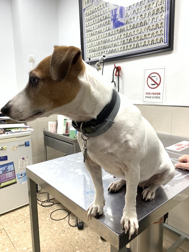 Centro Veterinario Sanpedro