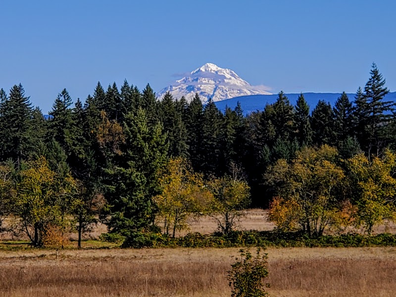 Milo McIver State Park photo 4