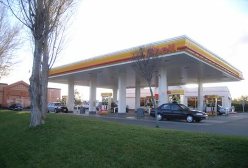 Shell photo 3