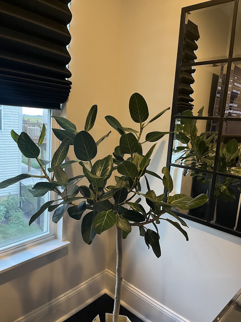 The Greenhouse photo 3