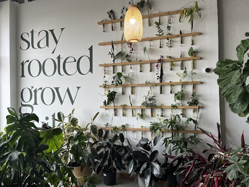 The Greenhouse photo 4