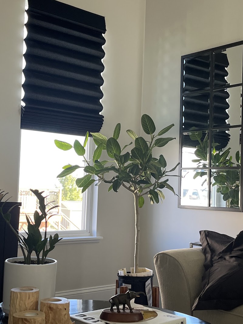 The Greenhouse photo 2